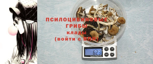 тгк Мегион